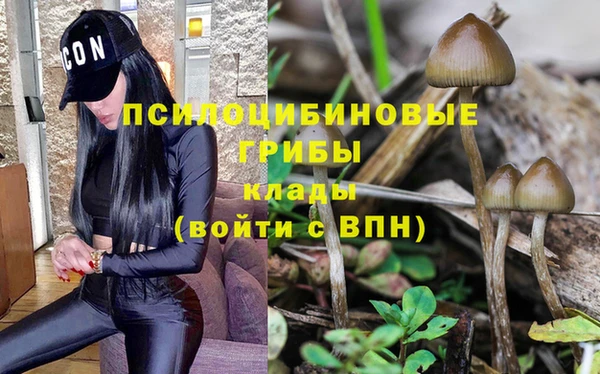 гашишное масло Богородск
