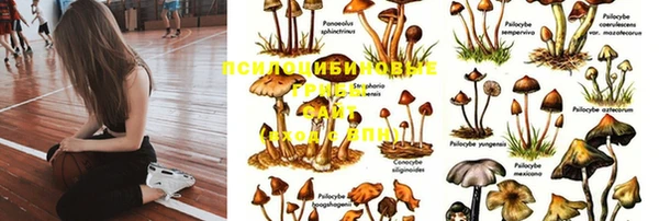 альфа пвп VHQ Богданович