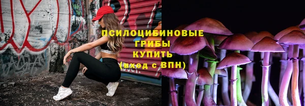 ALPHA-PVP Богородицк
