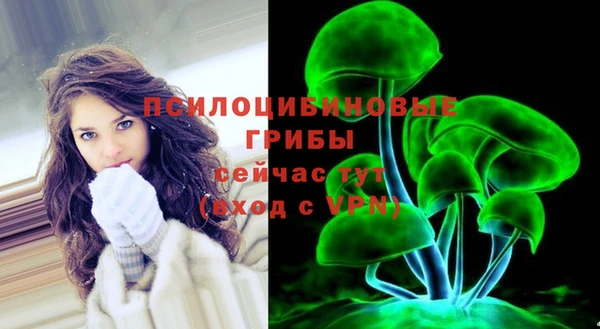 ALPHA-PVP Богородицк